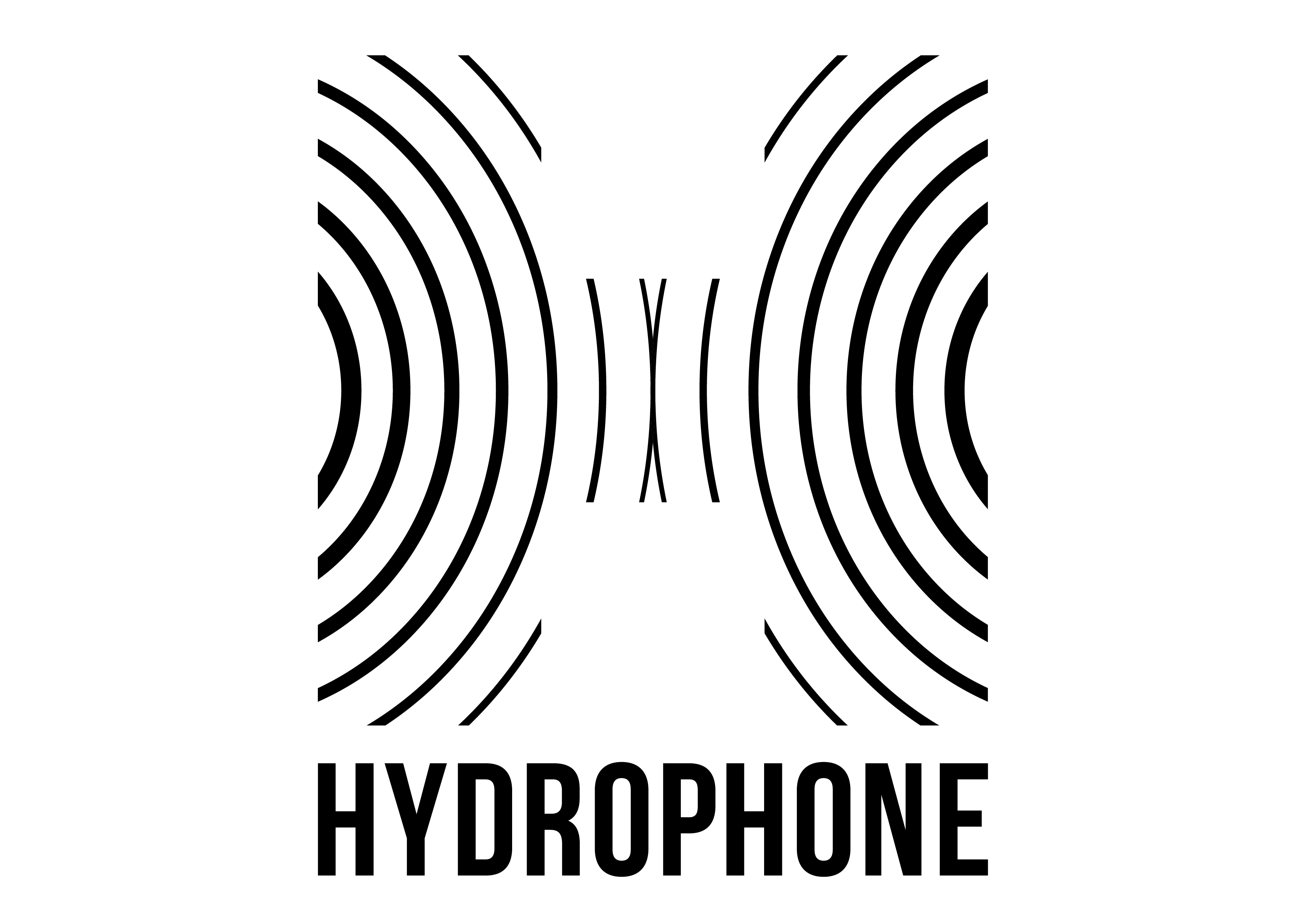 Hydrophone
